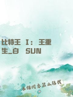 比特王國Ⅰ: 國王重生